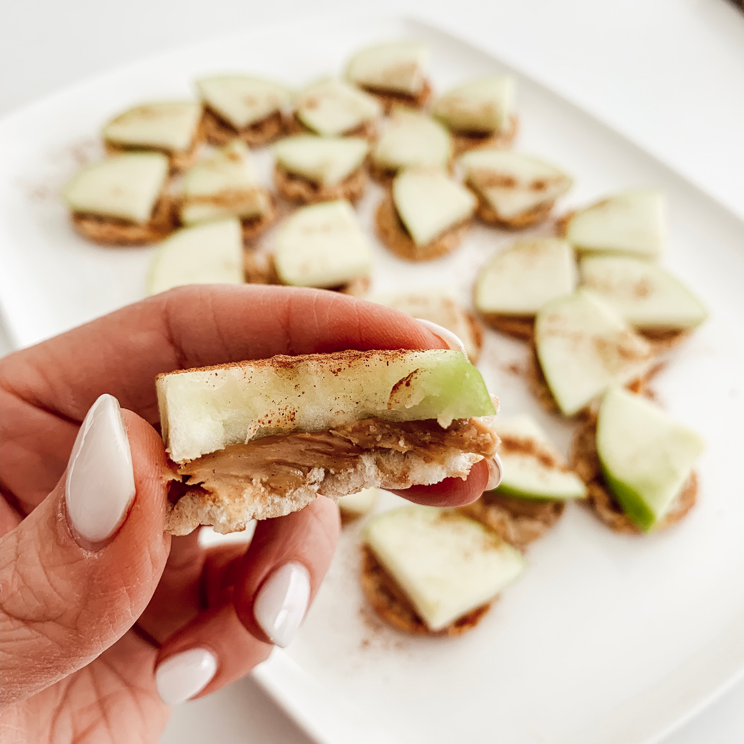 Cinnamon-Apple-Rice-Bites-1