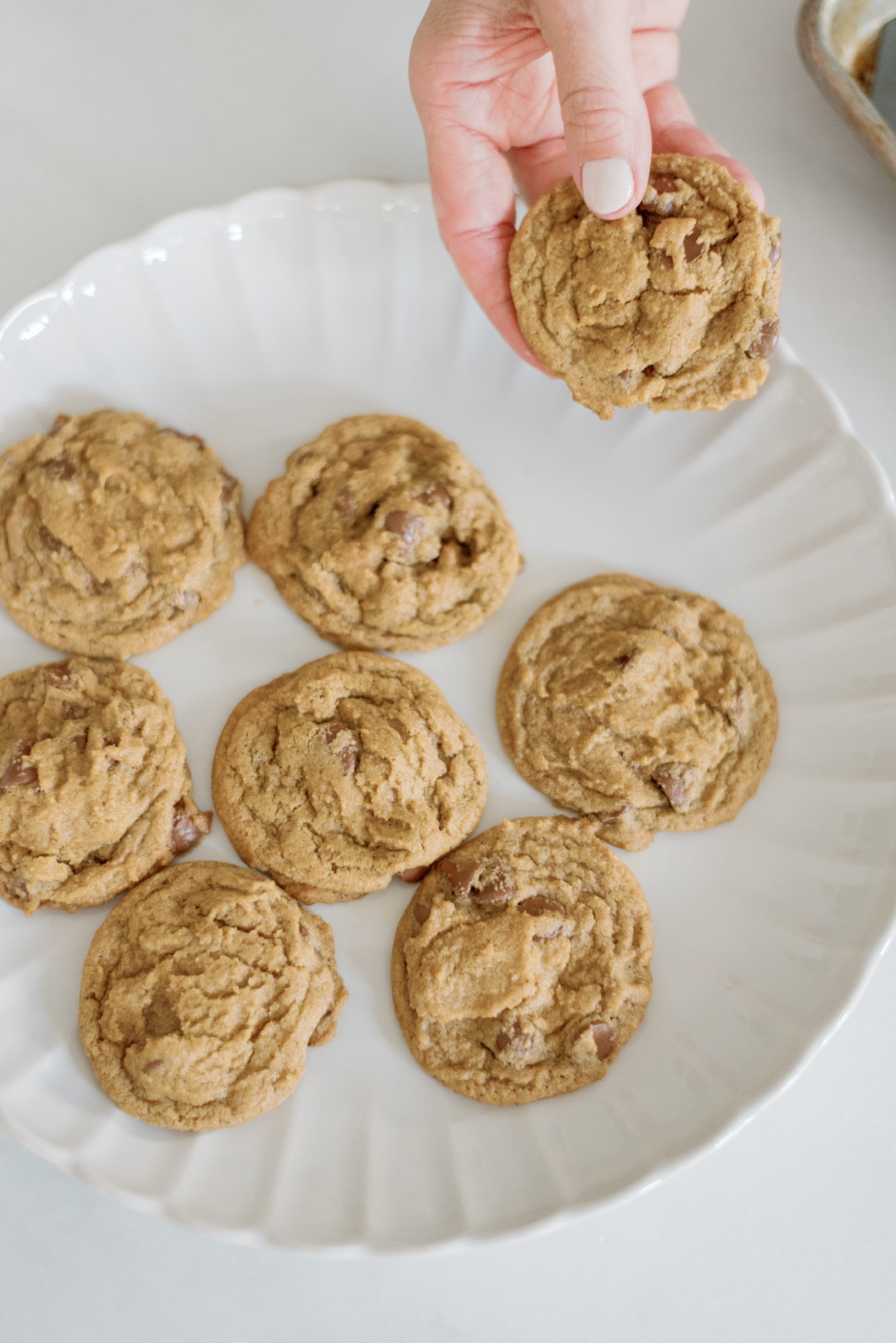 Brown Butter Pumpkin Chocolate Chip Cookies (Freezer-Friendly)