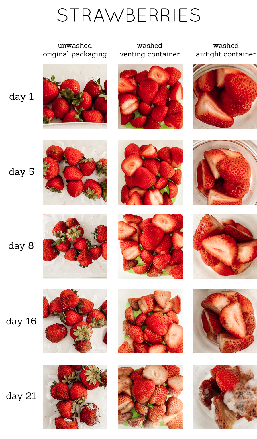 How to Store Strawberries in the Fridge