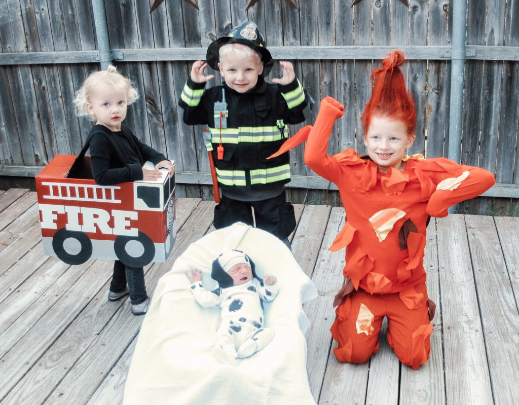 Fire Truck, Firefighter, Fire, and Dalmatian Costumes 