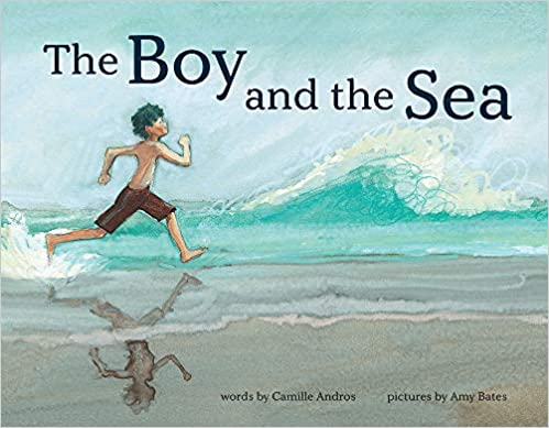 The Boy and the Sea Book